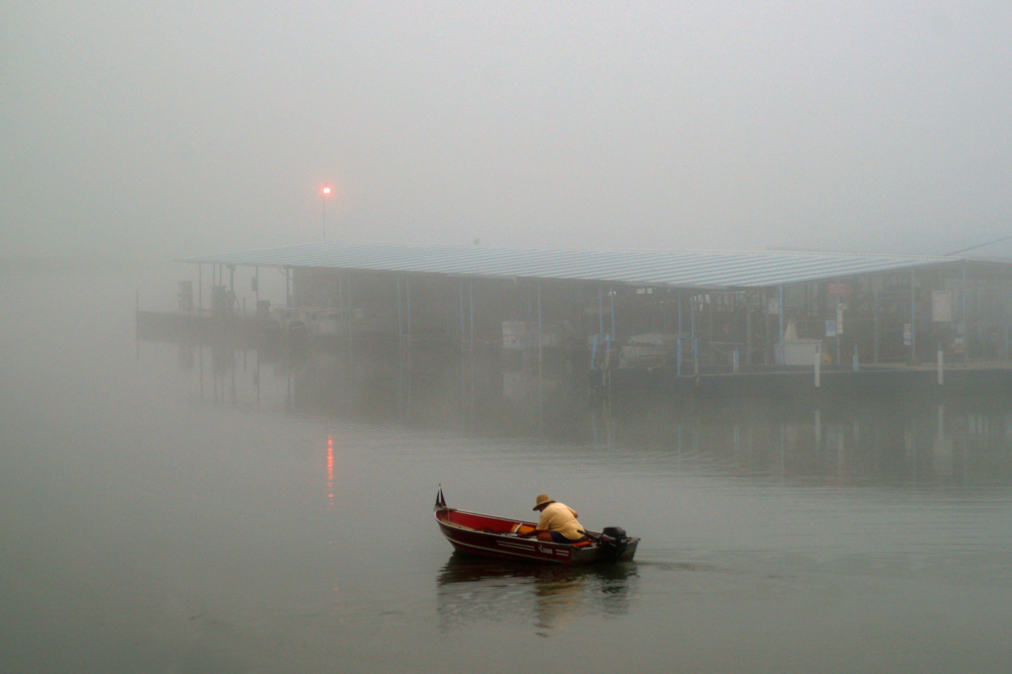 Marina Fog.jpg