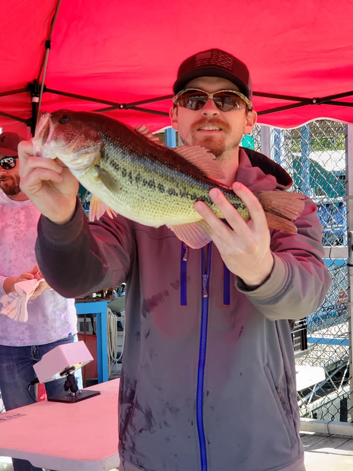 bass5.jpg