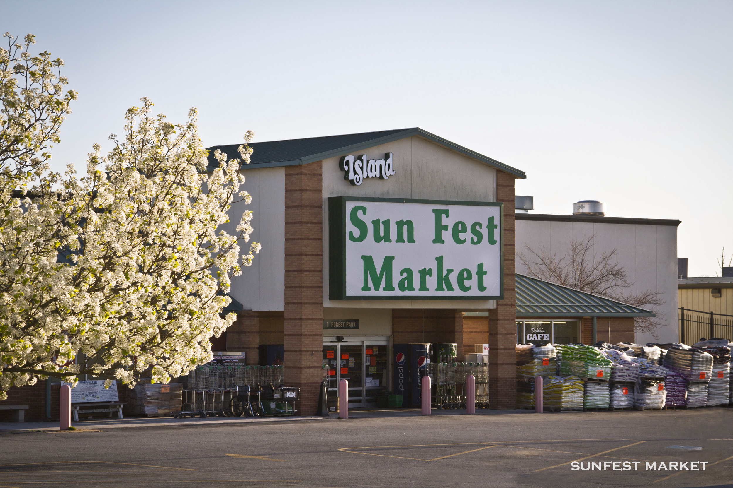 sunfest.jpg